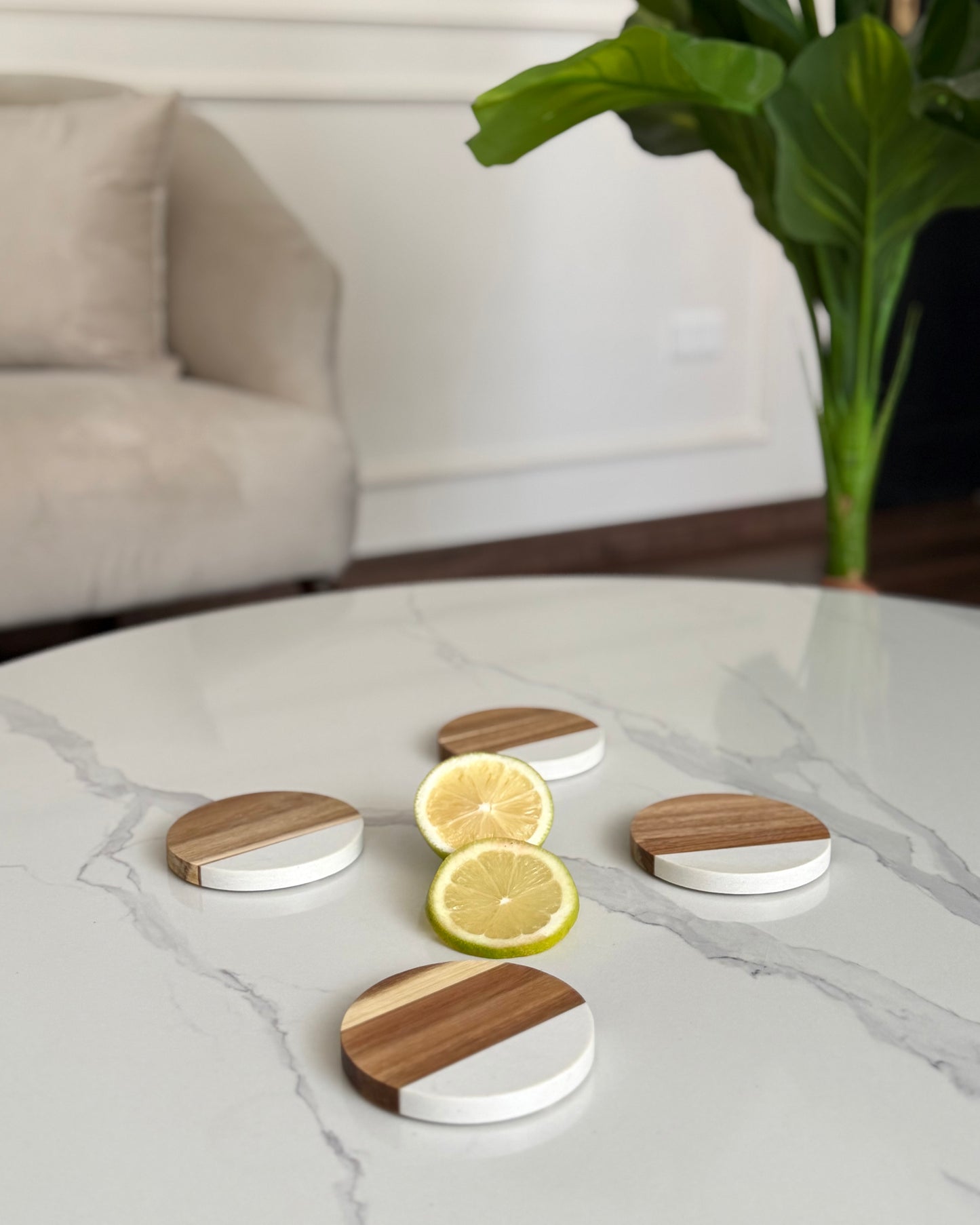 Set of 4 Round Coasters