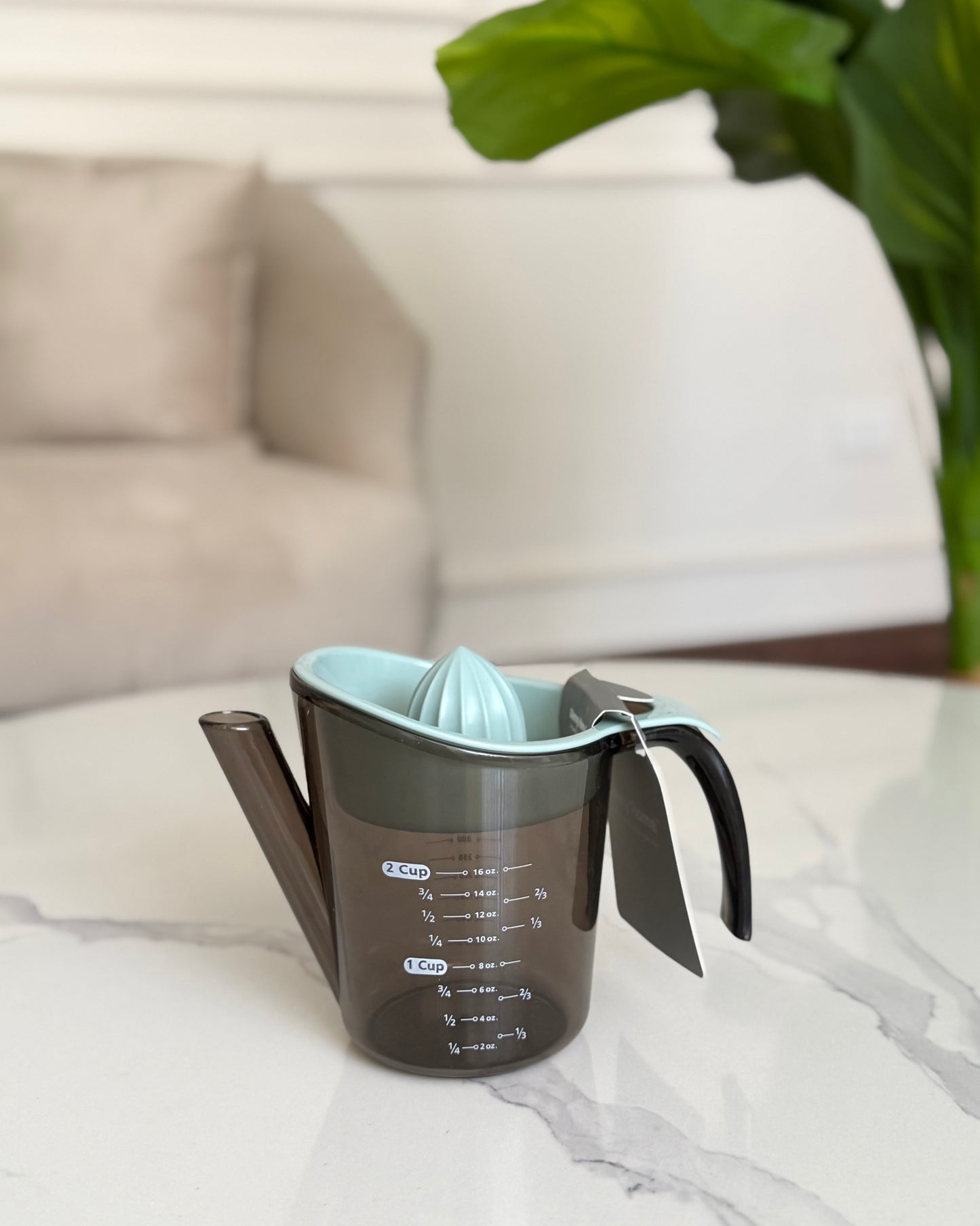 Citrus Juicer with Measuring Jug