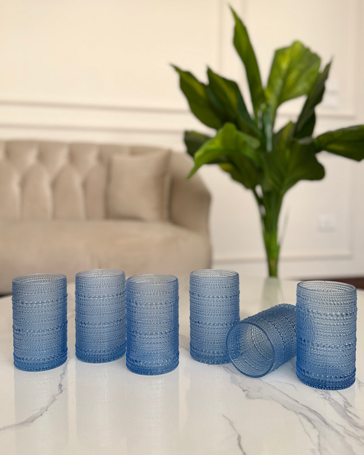 Textured Glass Set