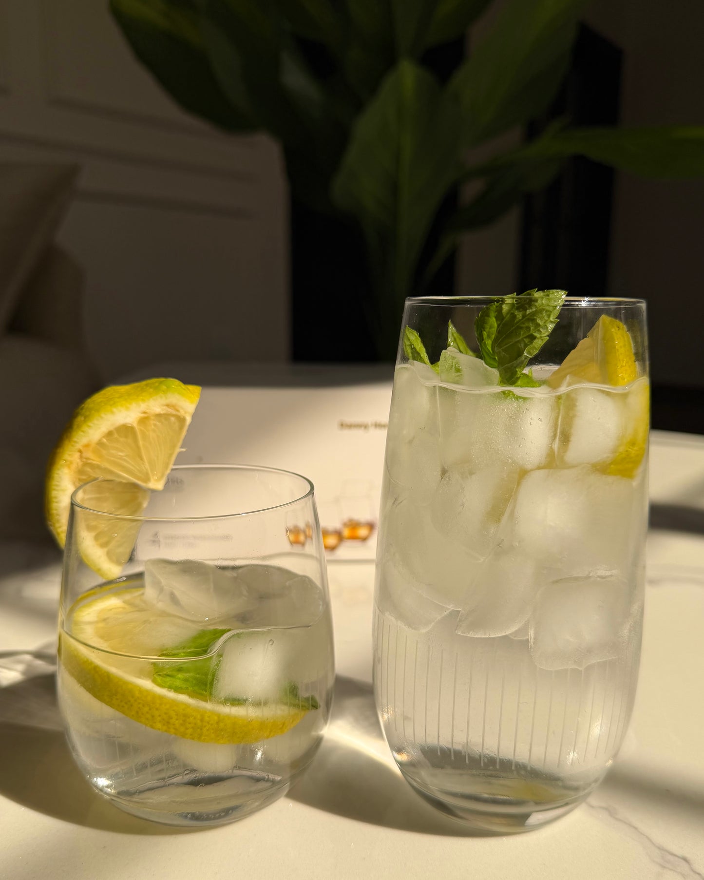 Elegant Glass Tumblers