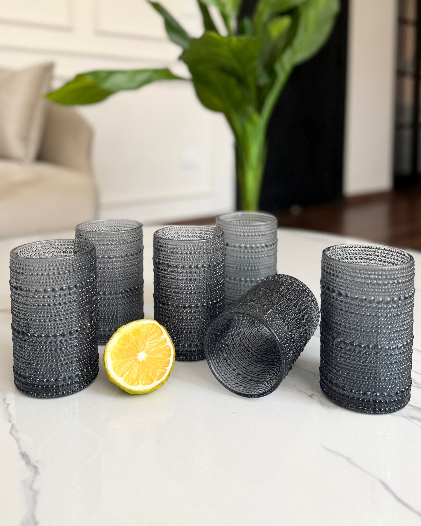 Textured Glass Set