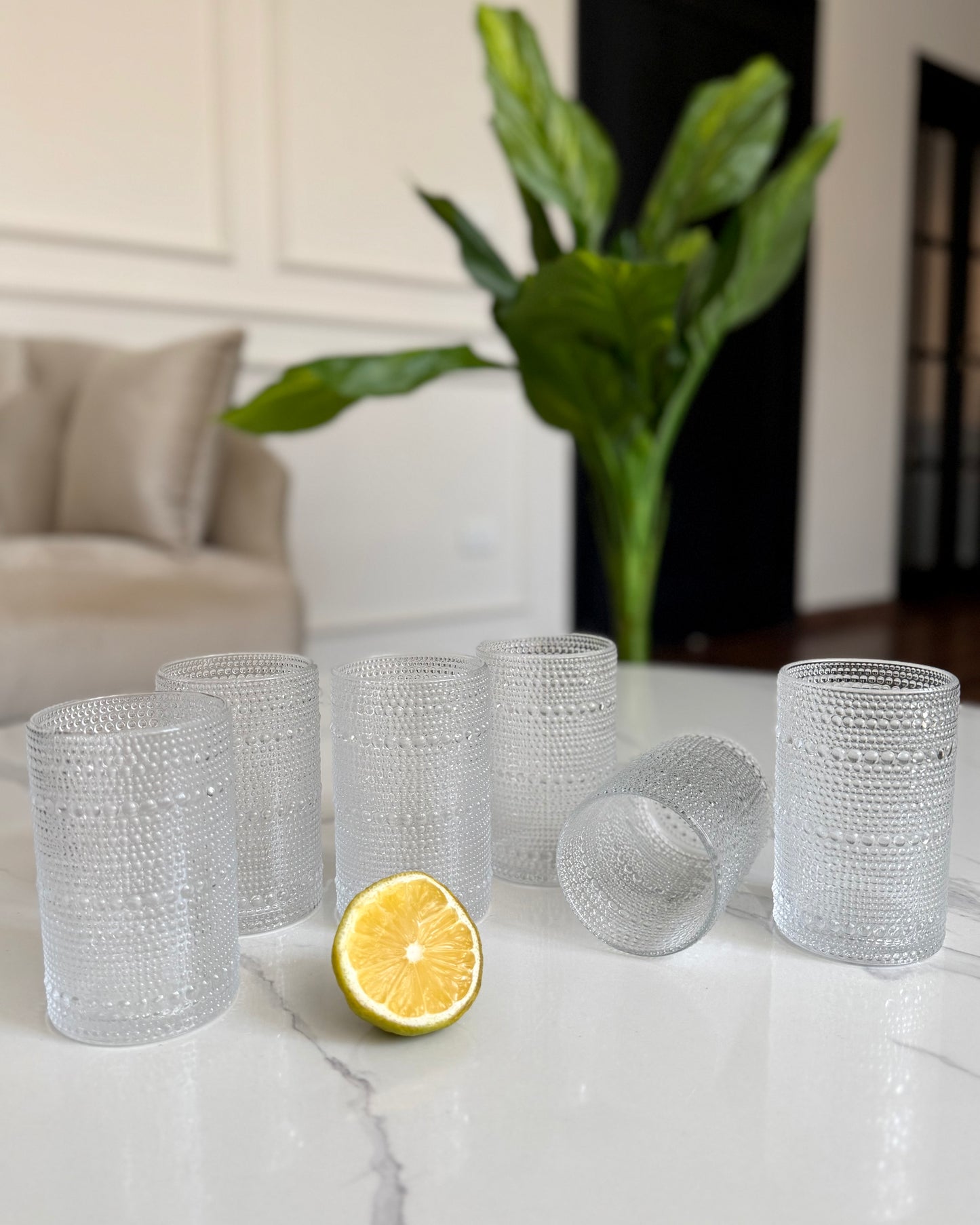 Textured Glass Set